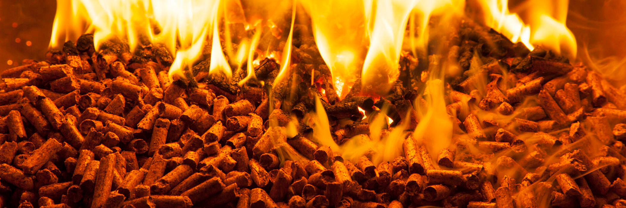 Etelweb Combustibili